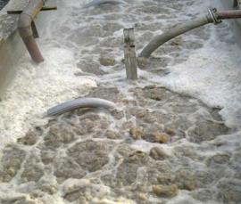 西安下店玉米開發(fā)實業(yè)有限公司