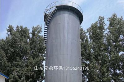 豆制品厭氧反應(yīng)器