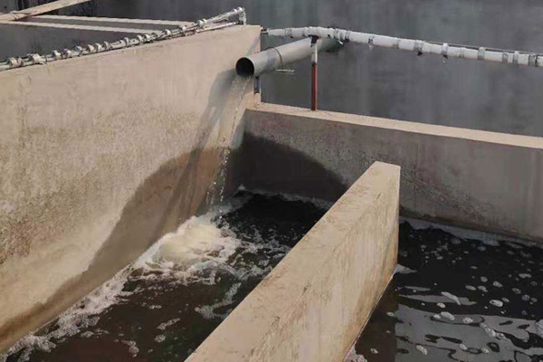 屠宰廢水處理工程實例(山東煙臺) 屠宰廢水處理工程實例(山東煙臺)