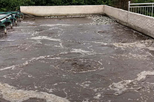 屠宰廢水處理 屠宰廢水處理